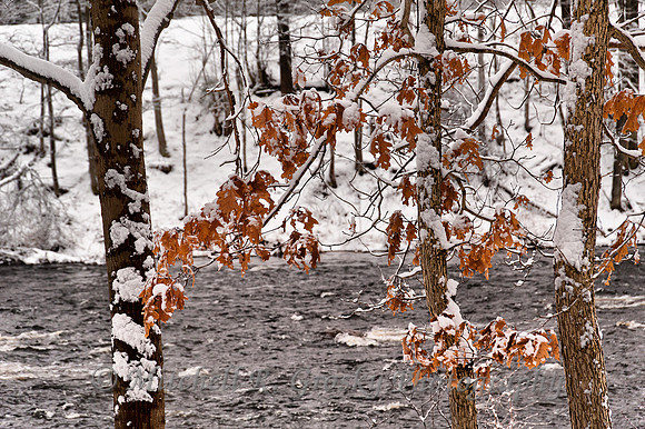 Winter aat Millers River in Erving, MA