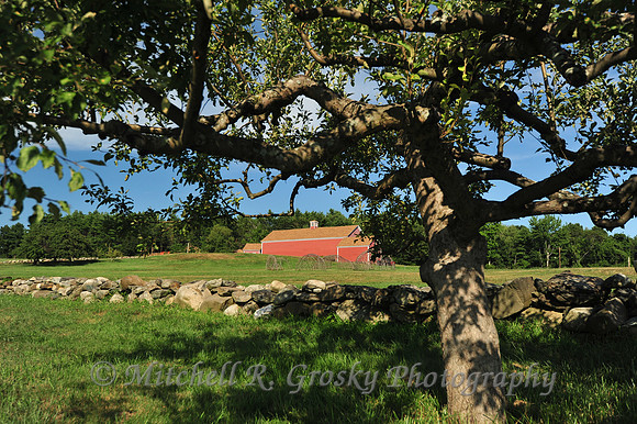 Fruitlands in Harvard