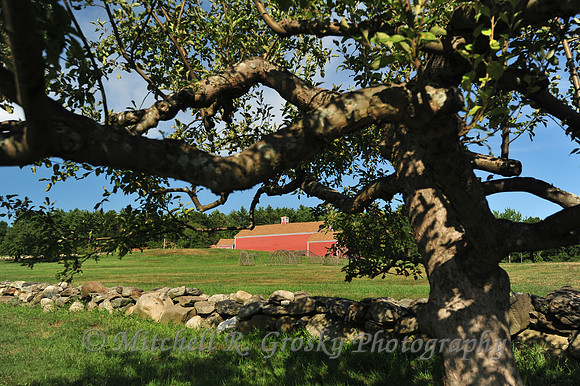 Fruitlands in Harvard