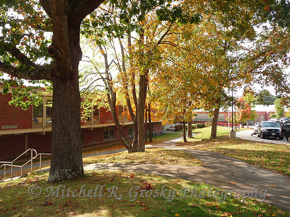 The Bromfield School in Harvard