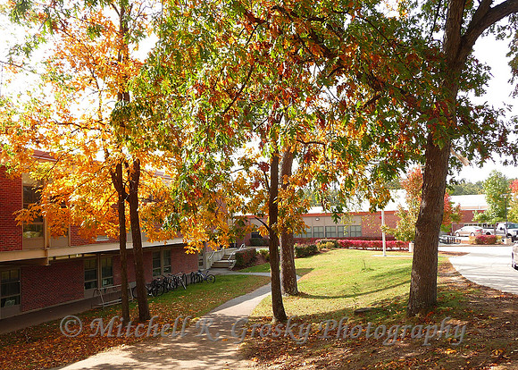 The Bromfield School in Harvard