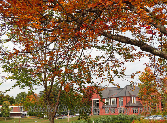 The New Library in Harvard