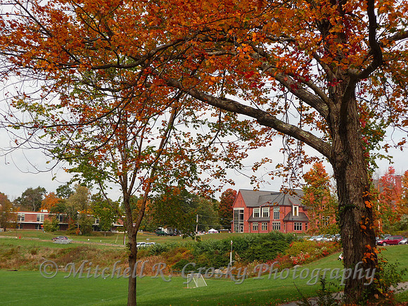 The New Library in Harvard with Bromfield in Background