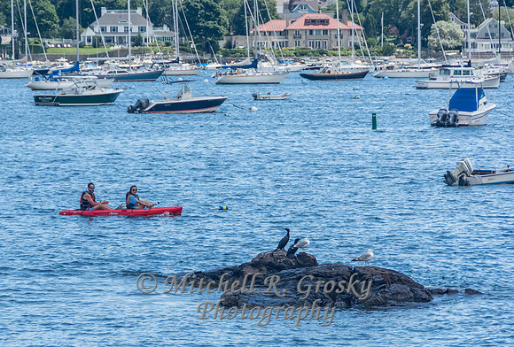 Marblehead View 1