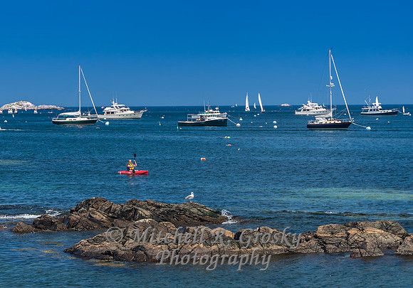 Marblehead Red, White, and Blue