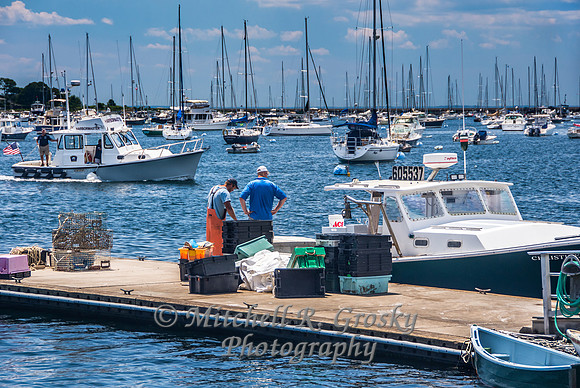 Marblehead Harbor