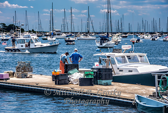 Marblehead Harbor Scene