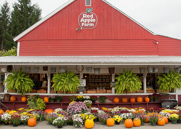 Red Apple Farm in Phillipston, MA