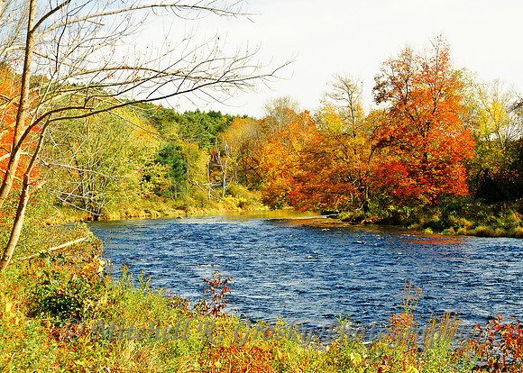 Millers River in Erving