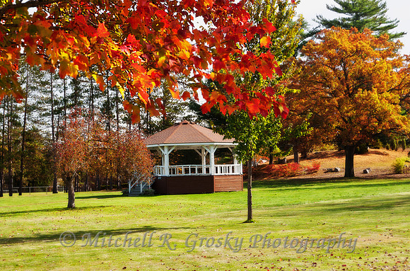 The Gazebo at Butterfield Park in Orange