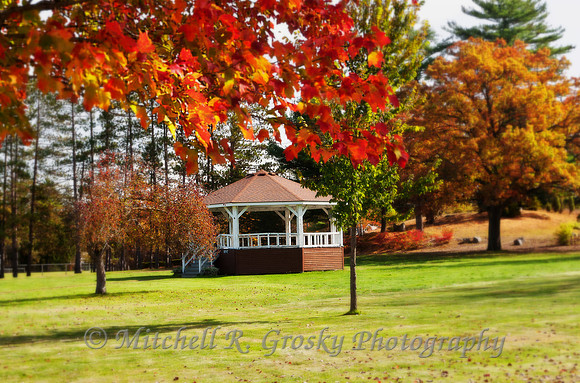 The Gazebo at Butterfield Park in Orange