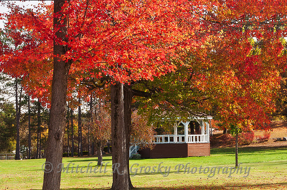 The Gazebo at Butterfield Park in Orange