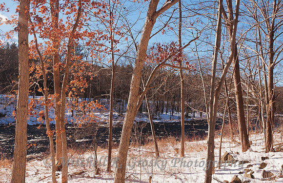 Winter Scene - Millers River in Erving, MA