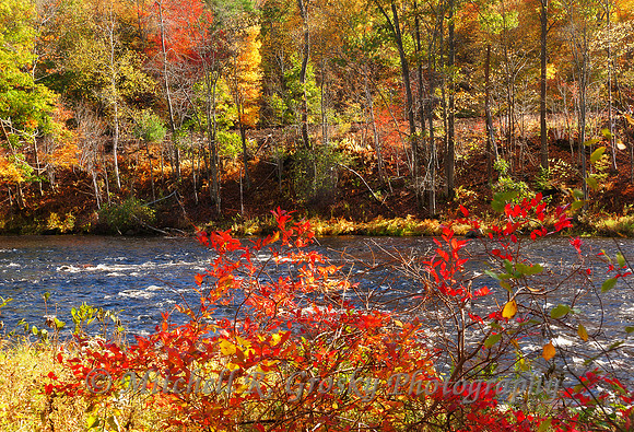 Millers River in Erving, MA