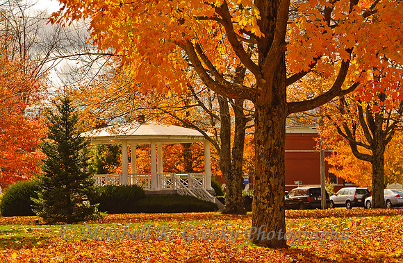 The Gazebo at Petersham Common