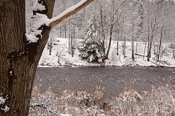 Millers River in Erving, MA - Winter
